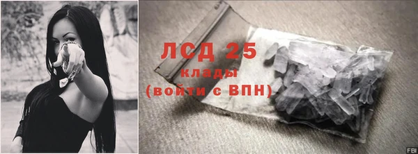 ПСИЛОЦИБИНОВЫЕ ГРИБЫ Няндома