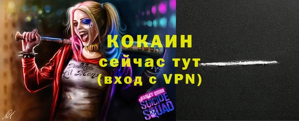 ПСИЛОЦИБИНОВЫЕ ГРИБЫ Няндома