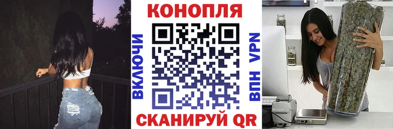 Бошки Шишки SATIVA & INDICA  где купить   Поронайск 